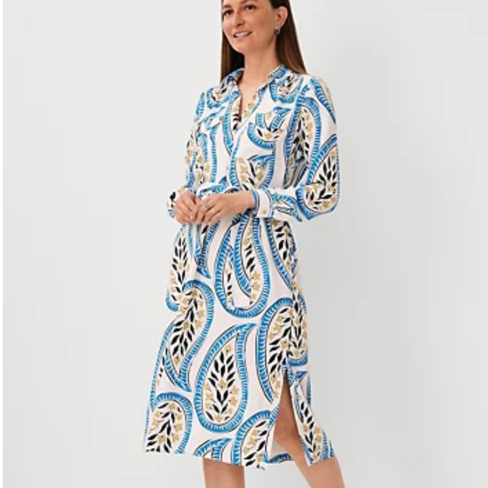 Ann Taylor Paisley Dress